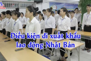 Điều kiện đi xuất khẩu lao động Nhật Bản: 9 tiêu chí cần đạt để đỗ nhanh