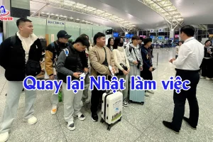 Quay lại Nhật làm việc lần 2: Lộ trình thực tập sinh & Tokutei dễ đậu