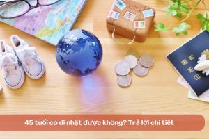 Đi Nhật 1 năm về có quay lại được không?