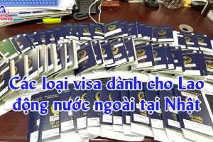 Các loại visa dành cho Lao động nước ngoài tại Nhật – Nên chọn diện nào?