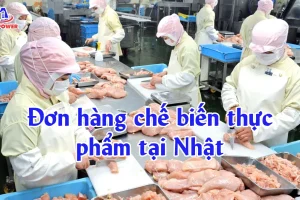 Đơn hàng Chế biến thực phẩm tại Nhật có tốt không? Thu nhập và quyền lợi chi tiết