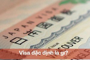 Visa đặc định là gì? Đối tượng nào được cấp visa kỹ năng đặc định