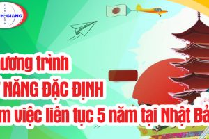 Kỳ thi kỹ năng đặc định diễn ra như nào?