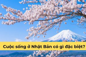 Cuộc sống ở Nhật Bản có gì đặc biệt?