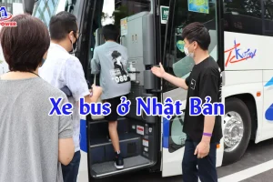 Xe bus ở Nhật Bản: Cẩm nang đi lại tự tin cho người mới