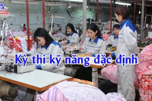 Kỳ thi kỹ năng đặc định ở Việt Nam diễn ra như thế nào?