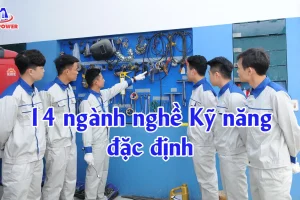 14 ngành nghề Kỹ năng đặc định gồm những gì? Cập nhật mới nhất cho người lao động