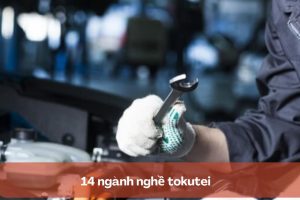 14 ngành nghề tokutei – Kỹ năng đặc định HOT nhất hiện nay