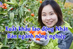 Xuất khẩu lao động Nhật Bản ngành nông nghiệp có đáng đi không?