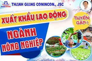 GERTT508 -TV – Đức – Nông nghiệp (chăn nuôi) TV