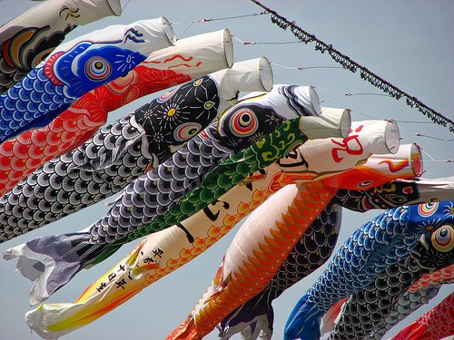 Cá chép là một biểu tượng của sức mạnh và thành công trong văn hóa Nhật Bản
