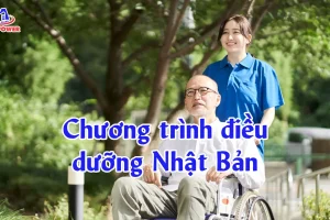 Chương trình điều dưỡng Nhật Bản – Nên lựa chọn diện nào đi cho phù hợp?