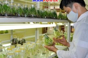 VNG234 – NHÂN VIÊN QUẢN LÝ CHẤT LƯỢNG – HÀ NỘI