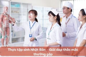 Thực tập sinh Nhật Bản – Giải đáp thắc mắc thường gặp