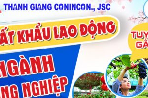 Tokutei Nông nghiệp – Cơ hội mới cho lao động Việt Nam tại Nhật