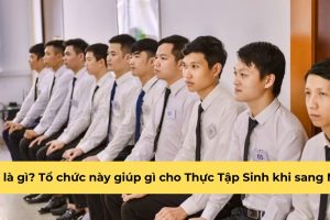 OTIT là gì? Tổ chức này giúp gì cho Thực Tập Sinh khi sang Nhật?