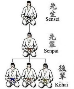 Mối quan hệ xã hội của Senpai, Kohai và Sensei