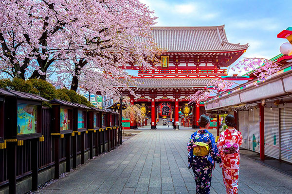 những địa điểm trải nghiệm mùa hoa anh đào Nhật Bản