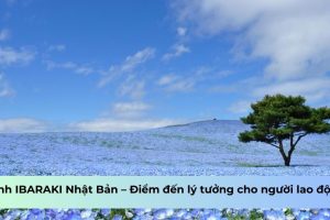 IBARAKI Nhật Bản – Điểm đến lý tưởng cho người lao động?