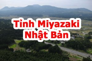Tỉnh Miyazaki Nhật Bản – Xuất khẩu lao động tại Miyazaki có gì đặc biệt?