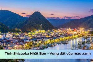 Shizuoka Nhật Bản – Vùng đất của màu xanh trù phú