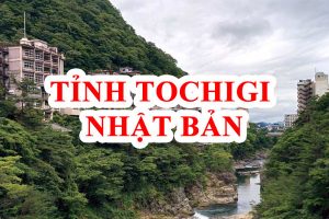 Tỉnh Tochigi Nhật Bản – “Miền đất hứa” khi đi xuất khẩu lao động
