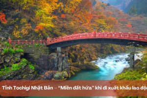 Tochigi Nhật Bản – “Miền đất hứa” khi đi xuất khẩu lao động