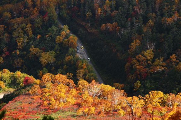 Đặc điểm kinh tế khu vực Hokkaido