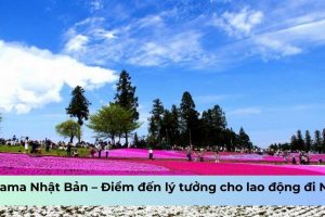 Saitama Nhật Bản – Điểm đến lý tưởng cho lao động đi Nhật