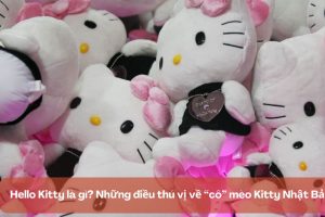 Hello Kitty là gì? Những điều thú vị về “cô” mèo Kitty Nhật Bản