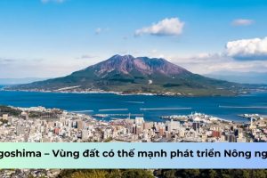 Kagoshima – Vùng đất có thế mạnh phát triển Nông nghiệp