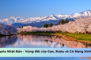 Niigata Nhật Bản – Vùng đất của Gạo, Rượu và Cô Nàng Xinh Đẹp