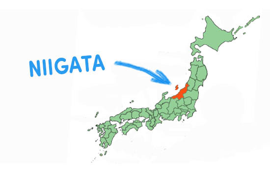 Vị trí địa lý của tỉnh Niigata Nhật Bản
