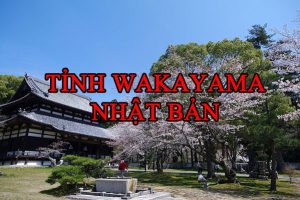 Tỉnh Wakayama Nhật Bản – Nơi “thưởng thức” văn hóa truyền thống