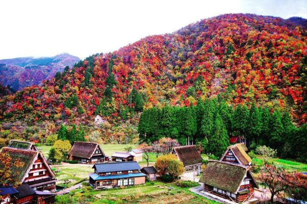 Hai ngôi làng cổ Gokayama