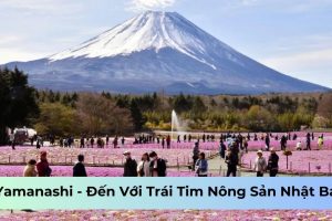 Yamanashi – Đến Với Trái Tim Nông Sản Nhật Bản