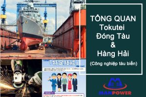 Tokutei Công nghiệp tàu biển – Mức lương và công việc chi tiết