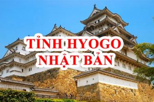Tỉnh Hyogo Nhật Bản – “Châu Âu thu nhỏ Xứ Sở Hoa Anh Đào”