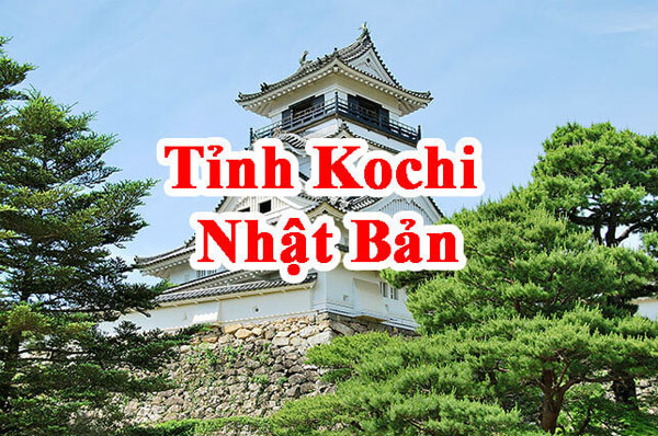 tỉnh Kochi Nhật Bản
