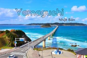 XKLĐ tại Tỉnh Yamaguchi Nhật Bản có gì đặc biệt?