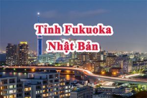 Tỉnh Fukuoka Nhật Bản – “Thủ phủ yên bình của vùng Kyushu”