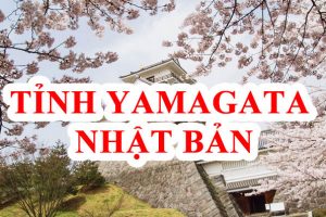 Tỉnh Yamagata Nhật Bản – “Vùng đất của hoa anh đào và tuyết trắng”