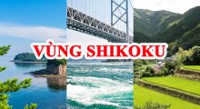 Tổng Quan Vùng Shikoku (しこく/ シコク) – Hòn đảo nhỏ nhất Nhật Bản