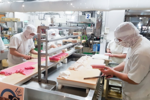 GERMG452 DHN Đức ngành chế biến thịt tại Düsseldorf