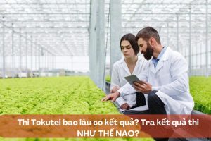 Thi Tokutei bao lâu có kết quả? Tra kết quả thi NHƯ THẾ NÀO?