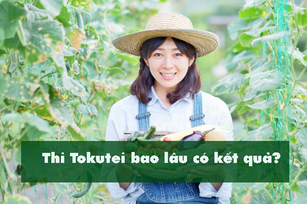 Công bố kết quả kì thi Tokutei