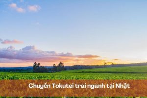 Chuyển Tokutei trái ngành tại Nhật – HƯỚNG DẪN thủ tục chi tiết