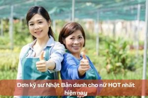 Đơn kỹ sư Nhật Bản dành cho nữ HOT nhất hiện nay