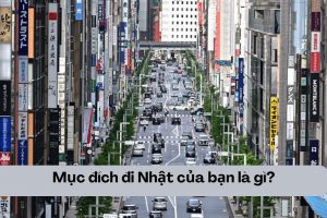 Mục đích đi Nhật của bạn là gì?