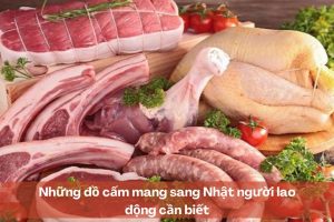 Những đồ cấm mang sang Nhật người lao động cần biết